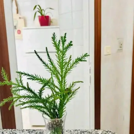 شقة Holibai, Andurina, Piso Centrico, Acepta Mascotas, Baiona *